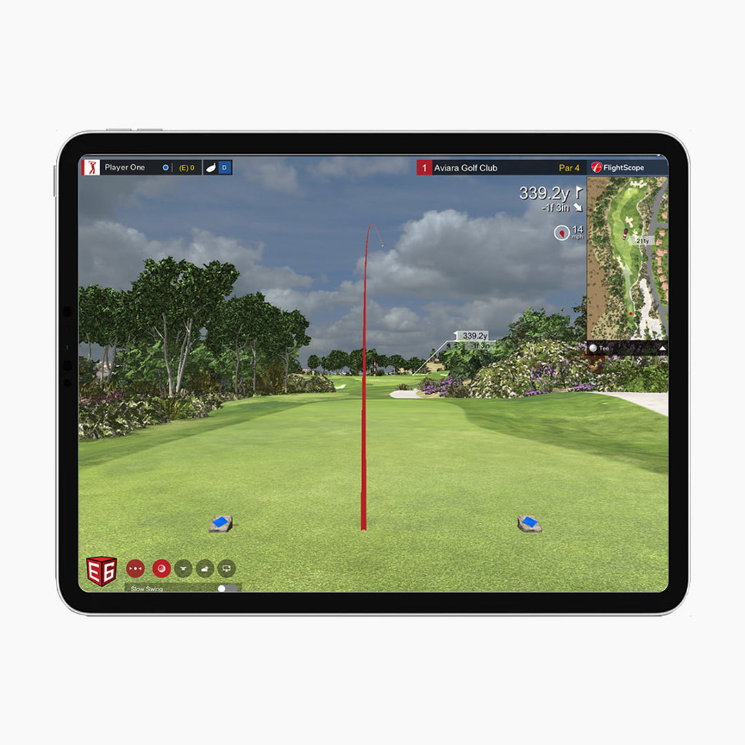 E6 Connect Basic Subscription